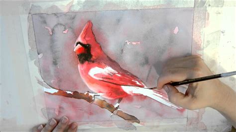 Watercolor Cardinal at PaintingValley.com | Explore collection of ...