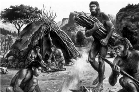 Meganthropus Paleojavanicus, Sejarah Penemuan dan Ciri-cirinya - Nasional Katadata.co.id