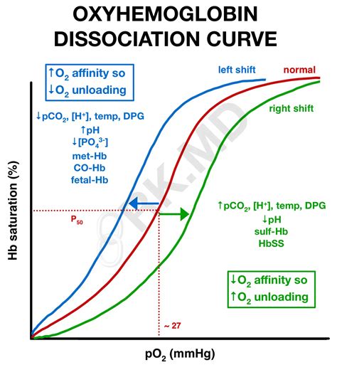 Oxygen Dissociation Curve Of Haemoglobin Is