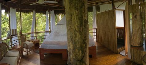 Treehouse Seven | Amazon Resort in Peru | Treehouse Lodge