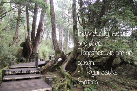 Ryunosuke Satoro Quotes. QuotesGram