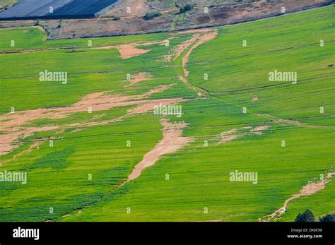 Aerial view of Sharon District, Israel from within a Cessna airplane ...