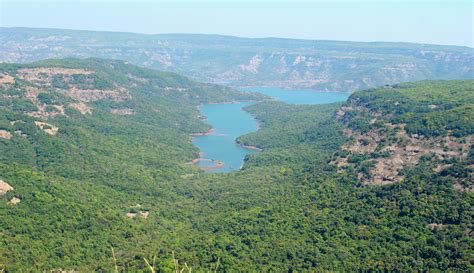 Camp Next To A Lake And Explore The Koyna Forests While Trekking To Vasota Fort | WhatsHot Pune