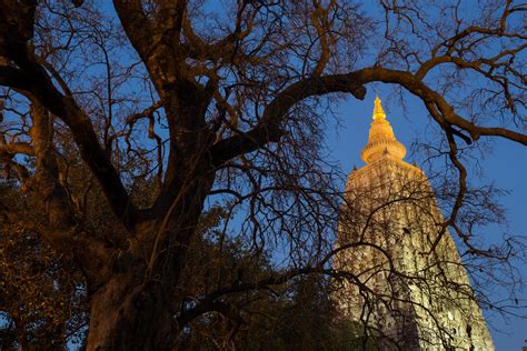 Mahabodhi temple, bodh gaya, India 9637485 Stock Photo at Vecteezy