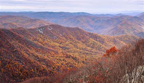 Virginia Fall Foliage: The Top Places to Visit - Minneopa Orchards