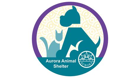 Aurora Animal Shelter at capacity following influx of owner-surrendered dogs