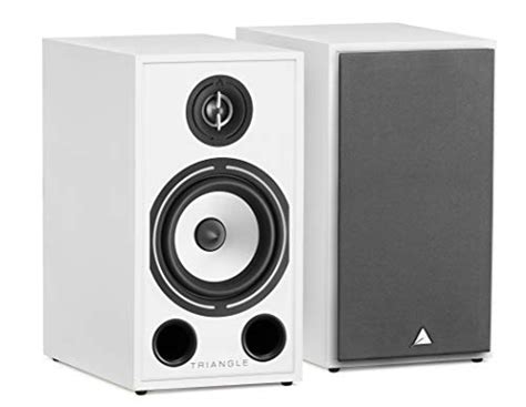 Best 4 Ohm Bookshelf Speakers (2024 Update) - Liquid Image