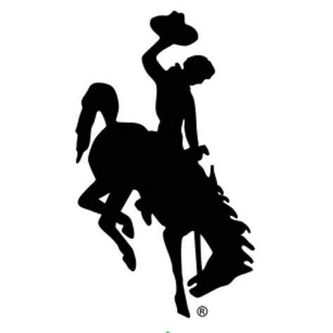 Steamboat Decals Wyoming Bucking Horse UW Cowboys - Etsy