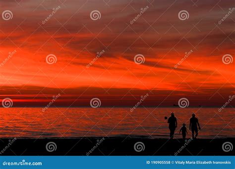 Silhouette of Couple on the Beach at Sunset Stock Photo - Image of dawn, ocean: 190905558