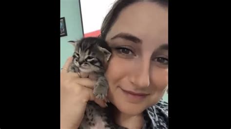 Cute little kitten has a lot to ‘say’ when pet mom holds it. Watch viral video | Trending ...