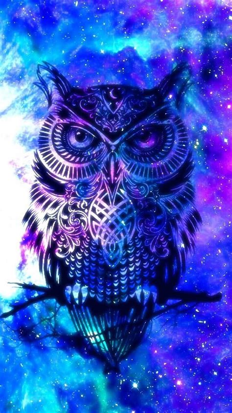 Night Owl for Android HD phone wallpaper | Pxfuel