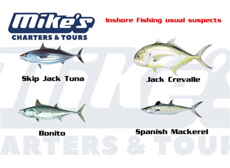 Inshore Fishing - Mike's Charters & Tours