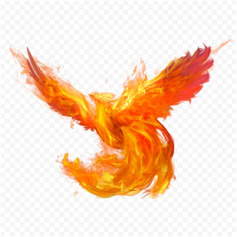 HD Phoenix Bird Fire PNG | Citypng