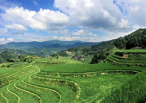 What is Terrace Farming? - WorldAtlas.com