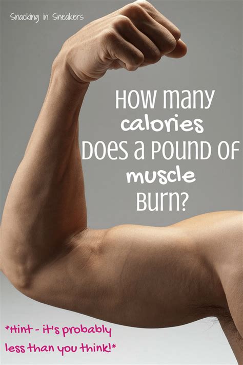 How many calories does a pound of muscle burn? Less than you think.