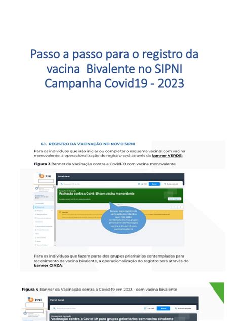 Passo a passo para registro da vacina Bivalente no sipni campanha covid | PDF