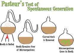 Louis Pasteur - Spontaneous Generation