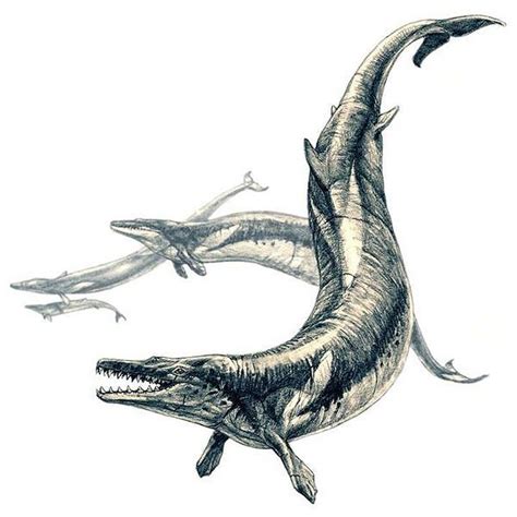 Basilosaurus cetoides (Zeuglodon) | Prehistoric, Giant animals, Sea monsters