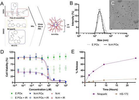 Particle characterization. (A) Schematic representation of formulation... | Download Scientific ...