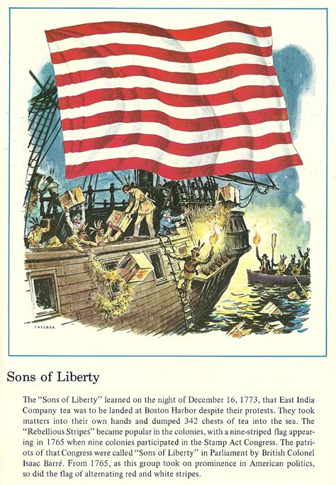 Rogers Park Retro: Flags of America: the Sons of Liberty flag