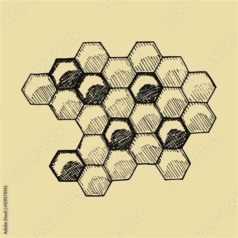 "Bees honeycomb sketch. Hand drawing vector illustration" Stock image and royalty-free vector ...