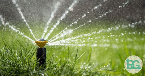 Gardening Toronto Blog - How to Properly Irrigate Your Garden