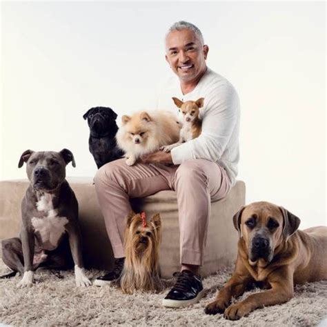 Pin by Taylor Sues on Cesar millan | Dog whisperer, Cesar millan, Dogs