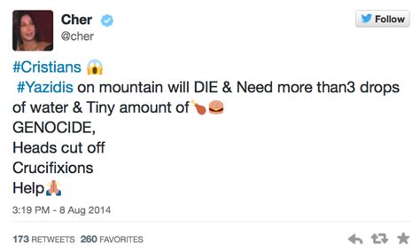 2014, explained in Cher tweets - Vox