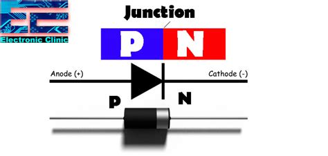 Semiconductor Diodes and its Types - Electronic Clinic