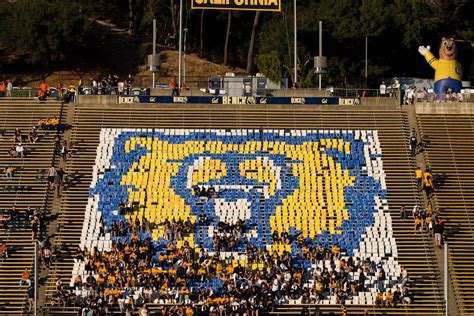 Cal is not going to a bowl game - California Golden Blogs