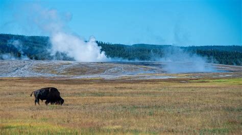 West Yellowstone Travel Guide | West Yellowstone Tourism - KAYAK