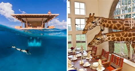 25+ Of The Coolest Hotels In The World | Bored Panda