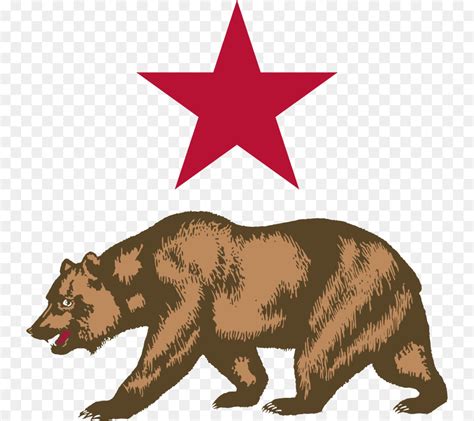 California grizzly bear American black bear California Republic - bear png download - 1920*960 ...