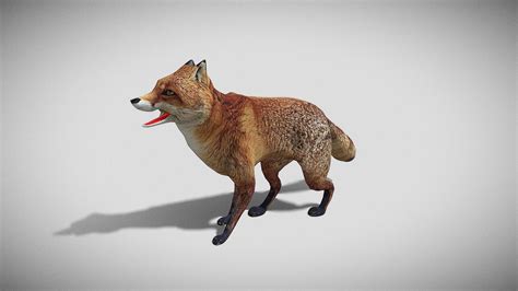 Fox - Download Free 3D model by Paleo Modelist (@victory_) [7a31d0c ...