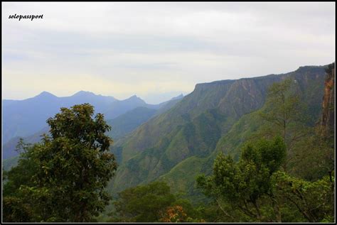 Travel to Kodaikanal: A Traveler's Dream Destination in South India ...