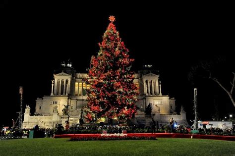 Rome's Christmas tree to be lit up on 8 December - Wanted in Rome