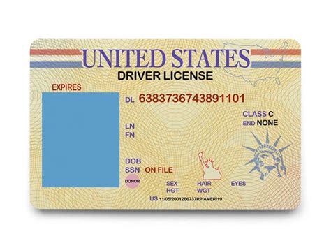 The Different Types Of Driver's Licenses: Explained - Viral Rang