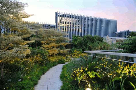 Orchard Central Mall Greenroofs - Greenroofs.com