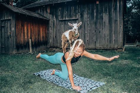 Read this before you try Goat Yoga | WELLNESS TRAVELLED