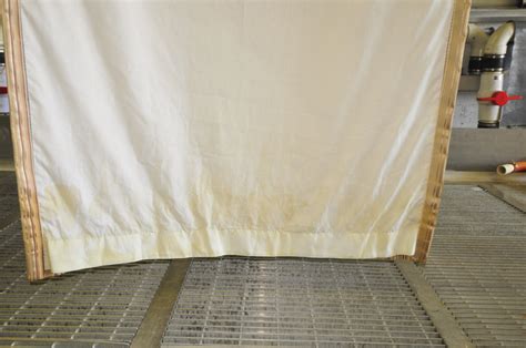 Cat urine odor removal from Drapery Oriental rug by PetPeePee service