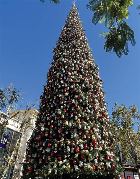 Grove Christmas Tree Lighting 2024 - Shawn Dolorita