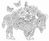 Bison coloring Page Stock Vector Illustration Of bison  246189744 sketch template