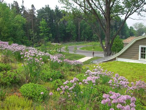 Asbury Woods Nature Center - Greenroofs.com