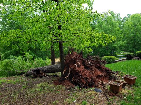 PHOTOS: Early Morning Storm Damage Around North Carolina