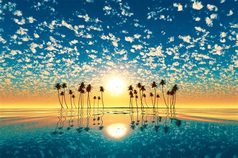 Palm Trees Reflection Sunset Wallpaper, HD Nature 4K Wallpapers, Images ...