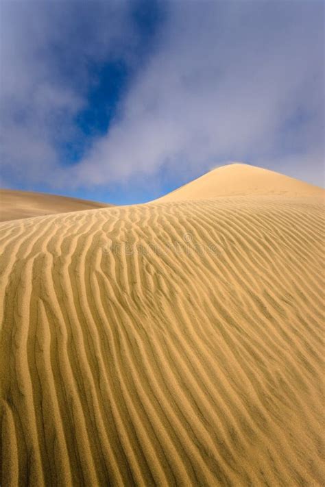 Namib Desert - Skeleton Coast Stock Photo - Image of skeleton, namib: 84414658