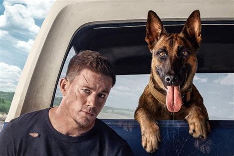 What Channing Tatum’s New Movie ‘Dog’ Gets Right About Military Working Canines | Military.com