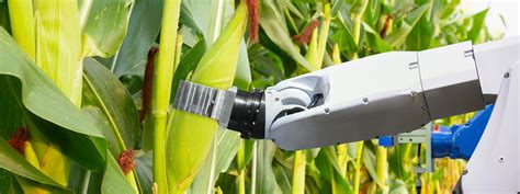 "Hands-free" smart farm will replace laborers with robots