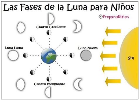 Fases De La Luna - Acido