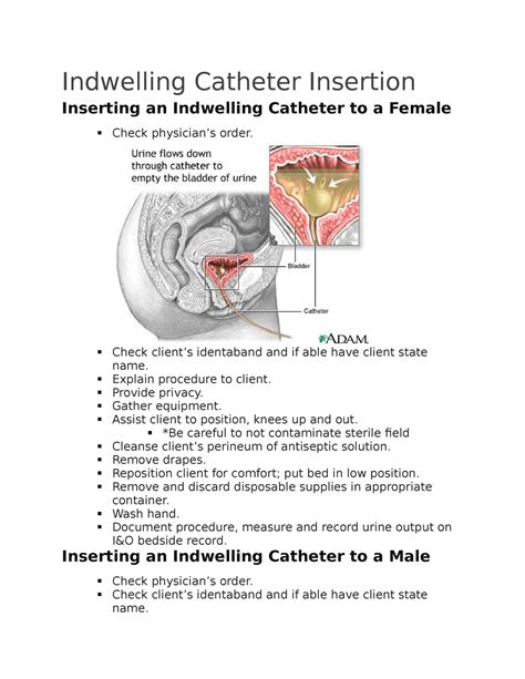 Indwelling Catheter Insertion - Indwelling Catheter Insertion Inserting an Indwelling Catheter ...